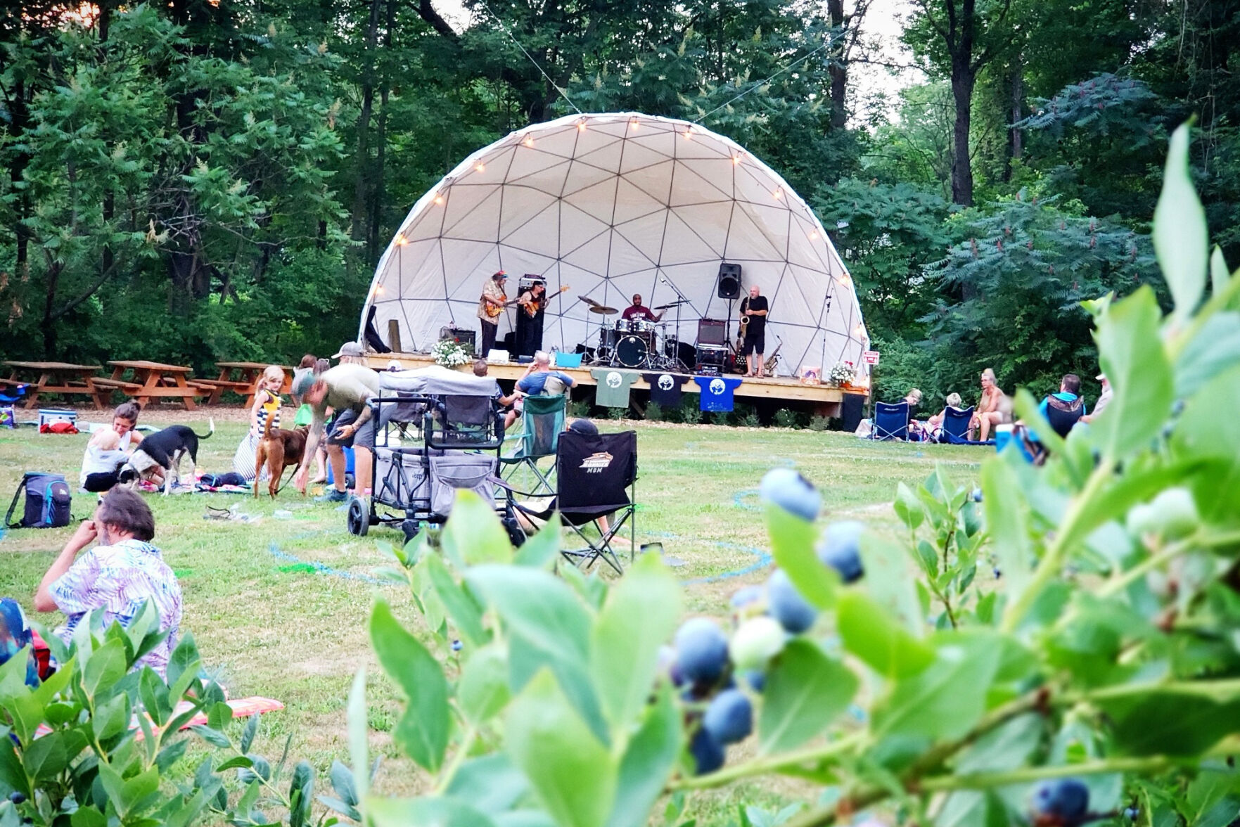 Blueberry-Treehouse-Farm-halfshell.jpg